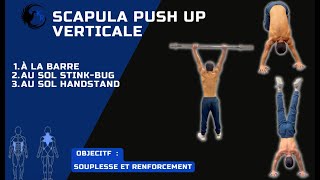 scapula push up verticale [upl. by Nahtnanhoj]