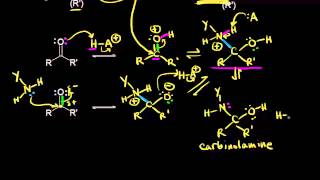 Formation of imines and enamines  Aldehydes and ketones  Organic chemistry  Khan Academy [upl. by Everick687]