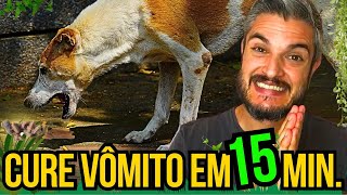 PASSOS SIMPLES QUANDO CACHORRO VOMITAR EM CASA REMÉDIO BARATO CURA CÃO DOENTE COM DOR NO ESTÔMAGO [upl. by Neerroc]