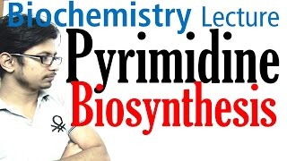 Pyrimidine biosynthesis [upl. by Stoeber]