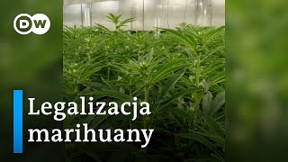 Legalizacja marihuany w Niemczech [upl. by Gnauq]