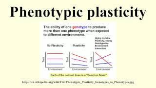 Phenotypic plasticity [upl. by Rento]