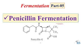 106 Fermentation of Penicillin  Microbial Production of Penicillin Antibiotic [upl. by Bevan]