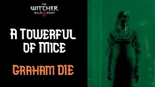 The Witcher 3  A Towerful of Mice  Graham die Walkthrough [upl. by Adnaugal]