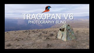 Tragopan V6 Photography Blind  FEATURES [upl. by Nnaoj509]