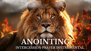 Intercession Prayer Instrumental  Warfare  The Anointing 2 [upl. by Ailemac]