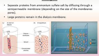 Protein Separation and Purification techniques [upl. by Anne-Marie]