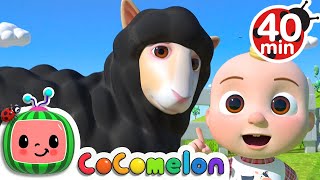 Baa Baa Black Sheep Song  More Nursery Rhymes amp Kids Songs  CoComelon [upl. by Normy]