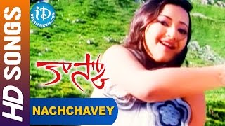 Nachchavey Video Song  Kasko Movie  Vaibhav Reddy  Swetha Basu Prasad  Premji Amaran [upl. by Victory453]