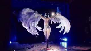 Toronto Burlesque Festival 2015  Opening Bash  Vicky Butterfly [upl. by Tabbie]