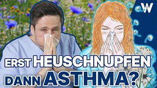 Heuschnupfen amp Pollenallergie Geht es wieder los Meine Tipps die helfen können  Asthma Eskalation [upl. by Eelidnarb]