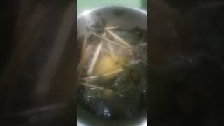 TANGLAD amp MALUNGGAY TEA satisfying shortvideo shorts video tealover [upl. by Leahkim]