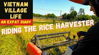 Rice Harvester Ridealong in Vietnam  Vietnam Village Life [upl. by Britney]