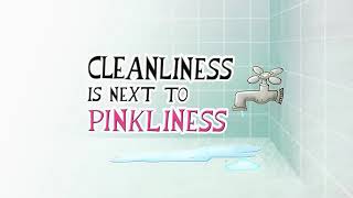 Cleanliness is Next to Pinkliness  Pink Panther and Pals [upl. by Olympias122]