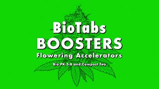 BioTabs boostersflowering accelerators  Bio PK 58 and Compost Tea [upl. by Glenda]