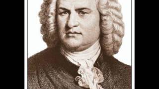 Johann Sebastian Bach Pachelbels Canon In D Major [upl. by Maryjo]