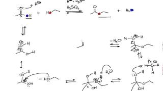 Mechanism of the Fischer Esterification in Organic Chemistry [upl. by Elman]