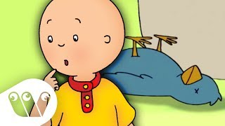 Cartoon Compilation  CAILLOU COMPILATION  Longest Caillou Video [upl. by Assiroc877]