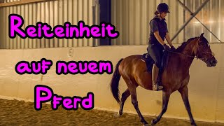 Reiteinheit auf neuem Pferd 🦄 Vorsichtiges Anreiten [upl. by Ahseei]