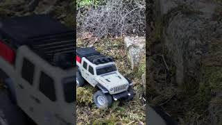 Axial SCX24 Jeep Gladiator  Crawling [upl. by Piper211]