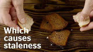 How baking freshness enzymes work [upl. by Serafina676]