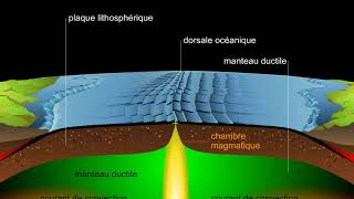 Expansion des fonds océaniques [upl. by Gettings]