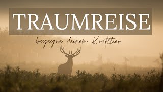 Reise zu deinem Krafttier Meditation zur Tiefenentspannung🦋traumreise fantasiereise einschlafen [upl. by Catarina]