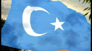 East Turkestan  Turkestán Este 19331934  19441949 [upl. by Eiroj]