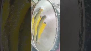 Ilish Maach Bhaja recipe baby hilsa fish fryshorts food shortvideo  homemadeyoutubeshorts [upl. by Issej]