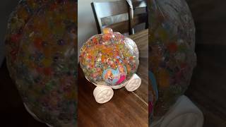 Water Beads in a Pumpkin Carriage 🎃💦 UPDATE explode waterbeads experiment project [upl. by Ttegirb]