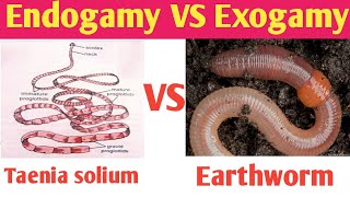 Endogamy self fertilization vs Exogamy cross fertilization  Endogamy and Exogamy Examples [upl. by Ellenij]