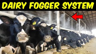 Fogger System for Dairy Farm  Dairy Fogger System  Mist System for Dairy Farm [upl. by Norvun]