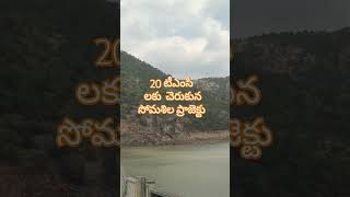 somasila damsomasila pennariver krishnawater krishnariver trending shorts youtubeshorts [upl. by Arocet]