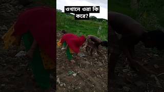 ওরা ওখানে কি করে youtubeshorts bangalvlog alaminvlog [upl. by Hnao]