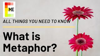 What is Metaphor All things you need to know [upl. by Aramas357]