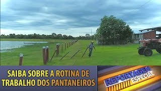 Reportagem Especial A rotina dos trabalhadores rurais do Pantanal [upl. by Herby]