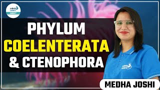 Phylum Coelenterata amp Ctenophora  ShortLecture  NEET2024  Infinity Learn NEET [upl. by Holly-Anne]