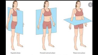 BIO MECHANICS PLANES amp AXES OF HUMAN BODY [upl. by Araccot943]