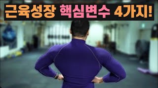 근육을 키우고 싶다면 세트수 반복수외 4가지 핵심변수를 알아야 합니다 트리거15초 [upl. by Eppie471]