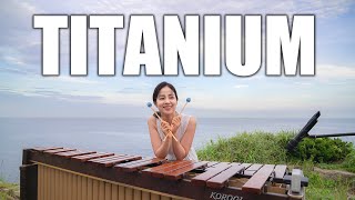 Titanium  David Guetta  Marimba cover [upl. by Nidla989]