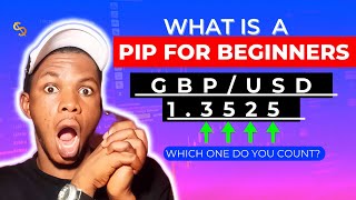 What Is a PIP in Forex Trading MUST Watch For Beginners [upl. by Rica]