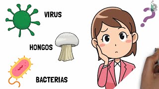 Diferencias entre virus ☣ bacterias 🦠y hongos 🍄 Video animado y con ejemplos [upl. by Nicholl]