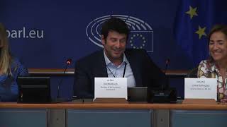 DyslexiaWork Event Alexis Georgoulis  European Dyslexia Association  European Parliament Part1 [upl. by Yahiya]