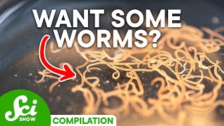 Why Some Parasites Are Actually GOOD And Which Can Kill You [upl. by Nadnerb]