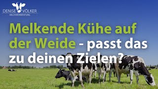 Melkende Kühe auf der Weide  passt das zu deinen Zielen [upl. by Yeh]