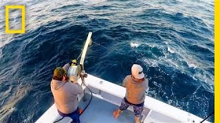 One Two Three Bites You’re Out  Wicked Tuna Outer Banks [upl. by Hoffmann]