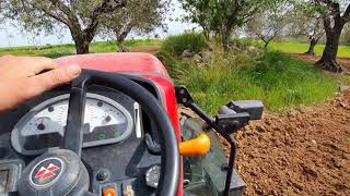 fresatura uliveto massey ferguson 3655 GE 102CV con fresa maschio tipo U farm tractor [upl. by Sedrul]