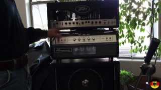 Ampeg V4B vs Peavey VB2 [upl. by Keyser]