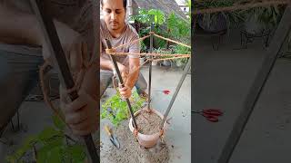 How to make STRONG Trellis for Climbing plants EASILY [upl. by Monteria]