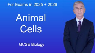 GCSE Biology Revision quotAnimal Cellsquot [upl. by Leinod665]